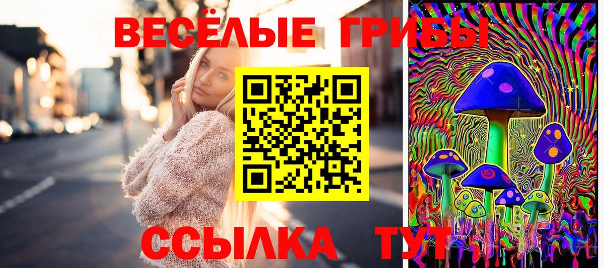 Галлюциногенные грибы GOLDEN TEACHER Нижнеудинск