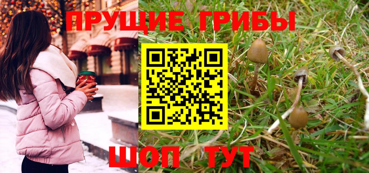 цены   Вход с VPN  Нижнеудинск  Псилоцибиновые грибы Psilocybe 